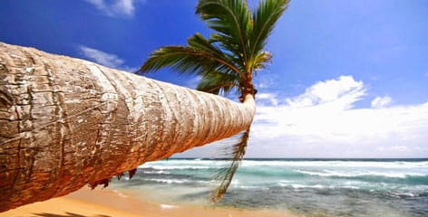 Romantic Holidays in Sri Lanka