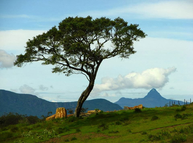 Nuwara Eliya Sri Lanka