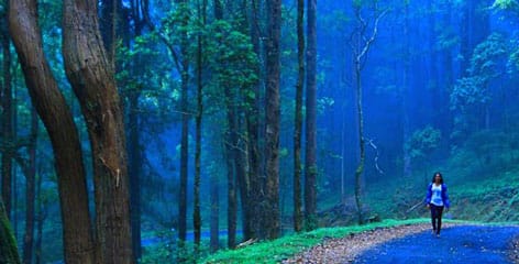 Sri Lanka Trekking Tours