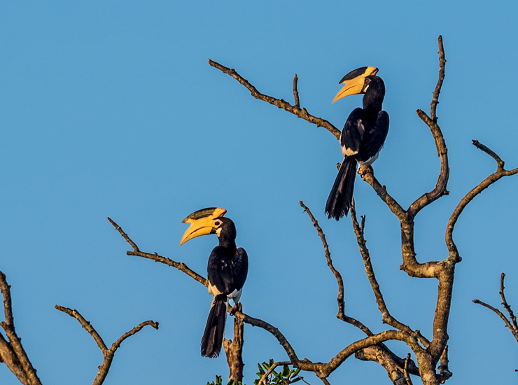 Hambantota, Sri Lanka