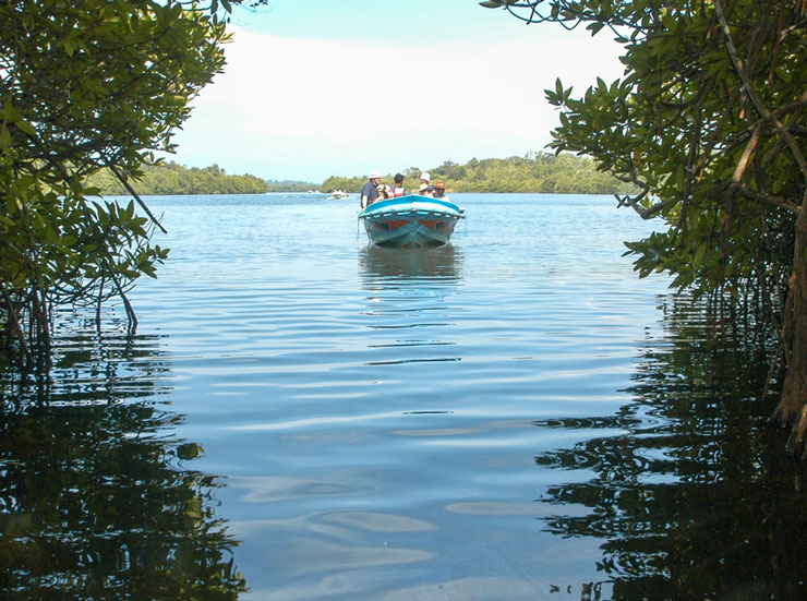 Negombo Sri Lanka