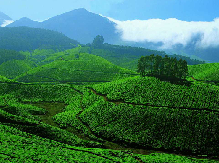 Nuwara Eliya Sri Lanka