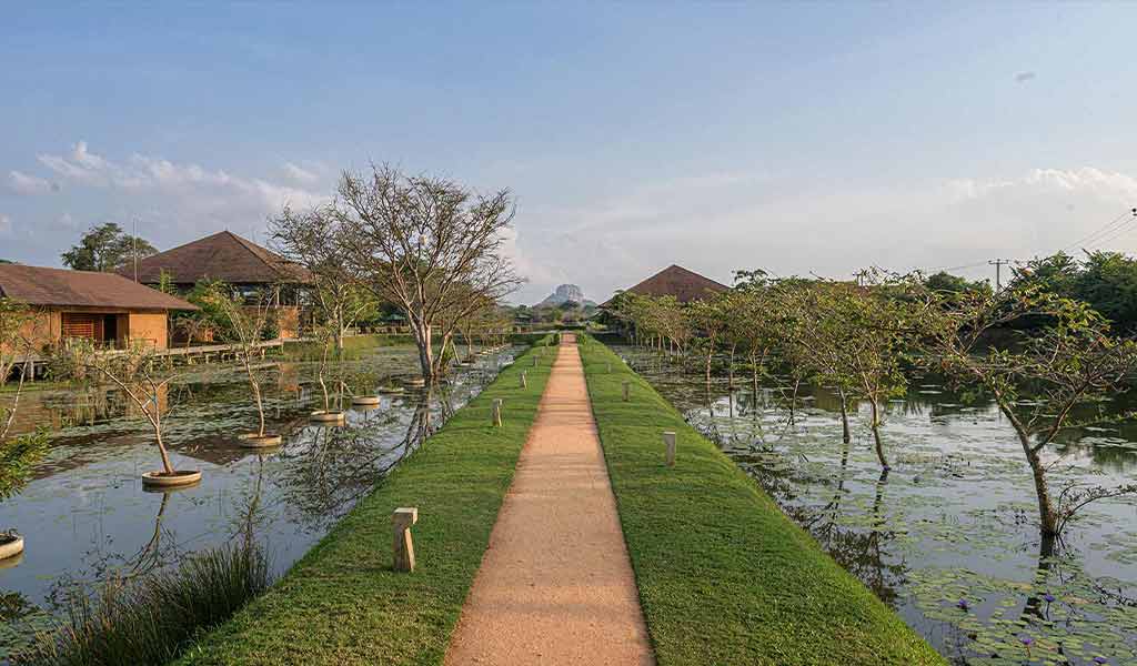 hotels-with-sigiriya-view