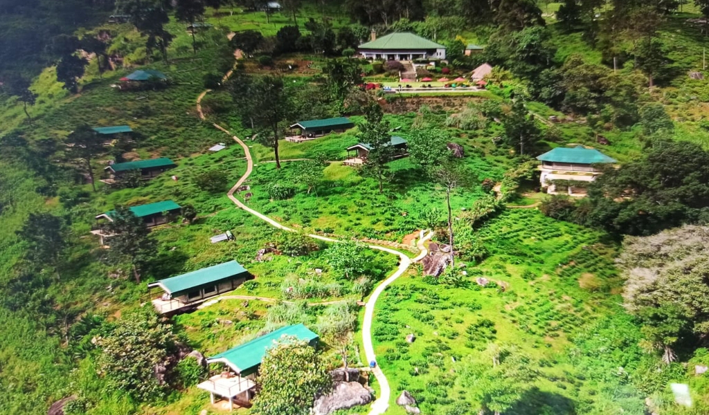 aerial shot of the property