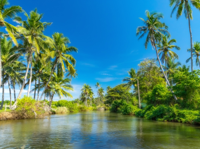Lagoon Safari