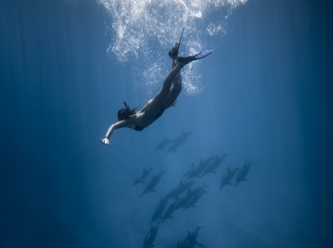 clear water diving south coast Sri Lanka
