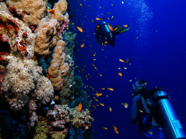 underwater diving southern coast Sri Lanka