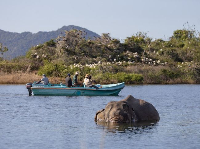 Gal Oya Boat Safari