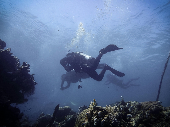 Sri Lanka south coast scuba adventure
