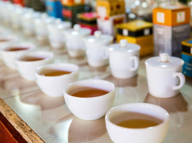 tea tasting in sri lanka