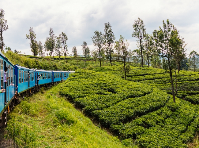 iconic train ride in sri lanka