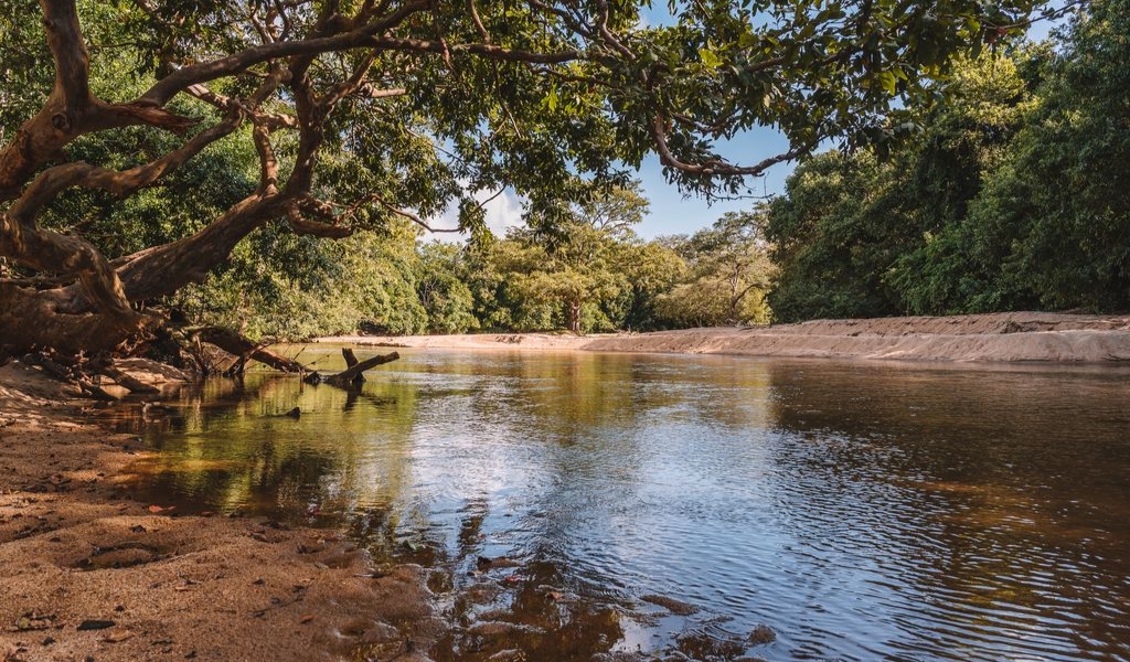 mahoora yala camping site