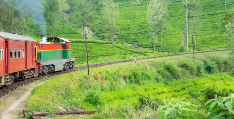 the famous ella train ride in sri lanka