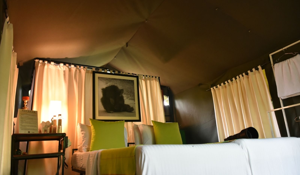 yala camping suites
