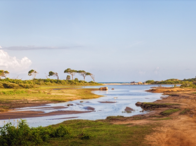 yala landscape