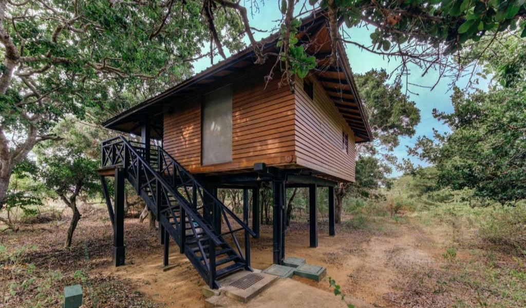 chalet rooms in yala