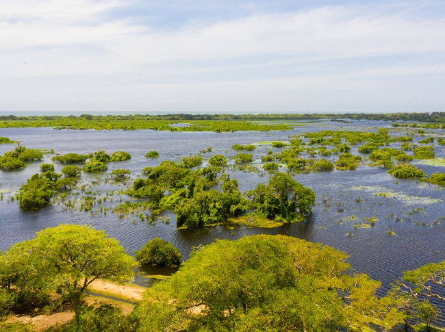 kumana national park tours