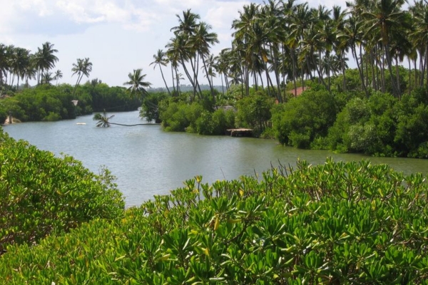 lagoon tours in tangalle