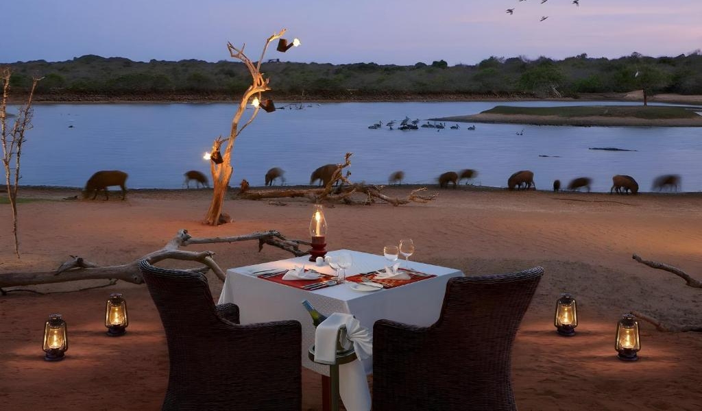 private dining experiences in yala