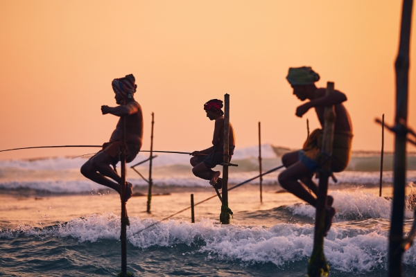 stilt fisherman in sri lanka